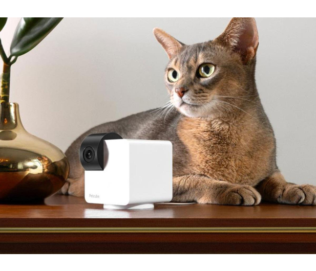 Petcube Interaktywna Inteligentna kamera Cam 360 - 1308535 - zdjęcie 6